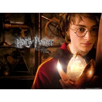 Harry Potter  2010