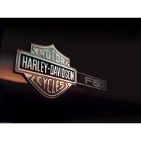 Harley-Davidson cycles -   ,    ,  -   