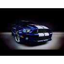 Ford Mustang GT 500,    -    