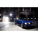 Blue Mustang -   ,   