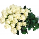 Белые розы.  Цветы большие картинки на рабочий стол и обои