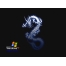 (1024768, 123 Kb) Windows XP Dragon Edition,        