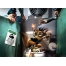 (1024х768, 224 Kb) Злобный зверёк в туалете - красивое фото на рабочий стол и картинки, тема - мультяшки