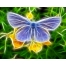 (1280х1024, 372 Kb) бабочка  в 3д, обои и красивые картинки на рабочий стол
