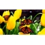 (19201080, 326 Kb) Butterflies,     