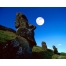 (12801024, 208 Kb) Moa Rano Raraku Easter Island Chile       