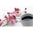 (1920х1200, 177 Kb) Кофе и цветы - фоновые рисунки на рабочий стол