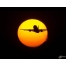 (1280х1024, 107 Kb) Самолет на фоне луны картинки и качественные обои на рабочий стол