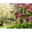 (1280х1024, 609 Kb) Природа - Весна пришла картинки, скачать фоновый рисунок для рабочего стола