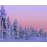(1280х1024, 599 Kb) Финляндия, Лапландия картинки и красивые обои