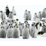 (1280х1024, 241 Kb) Пингвины скачать картинки на комп и обои для рабочего стола