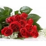 (1280х1024, 456 Kb) Свежие розы.  Цветы скачать картинки и рисунки для рабочего стола