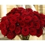 (1280х1024, 529 Kb) Букет алых роз.  Цветы картинки и новые обои на рабочий стол