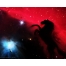 (12801024, 230 Kb) Horsehead Nebula        