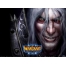 (16001200, 294 Kb) Warcraft 3 frozen throne -       