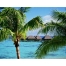 (1280х1024, 365 Kb) Французская Полинезия, остров Муреа фото обои и картинки