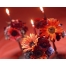 (1280х1024, 200 Kb) Цветы и свечи картинки, заставки на рабочий стол бесплатно