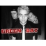 (1024768, 333 Kb) Green Day       