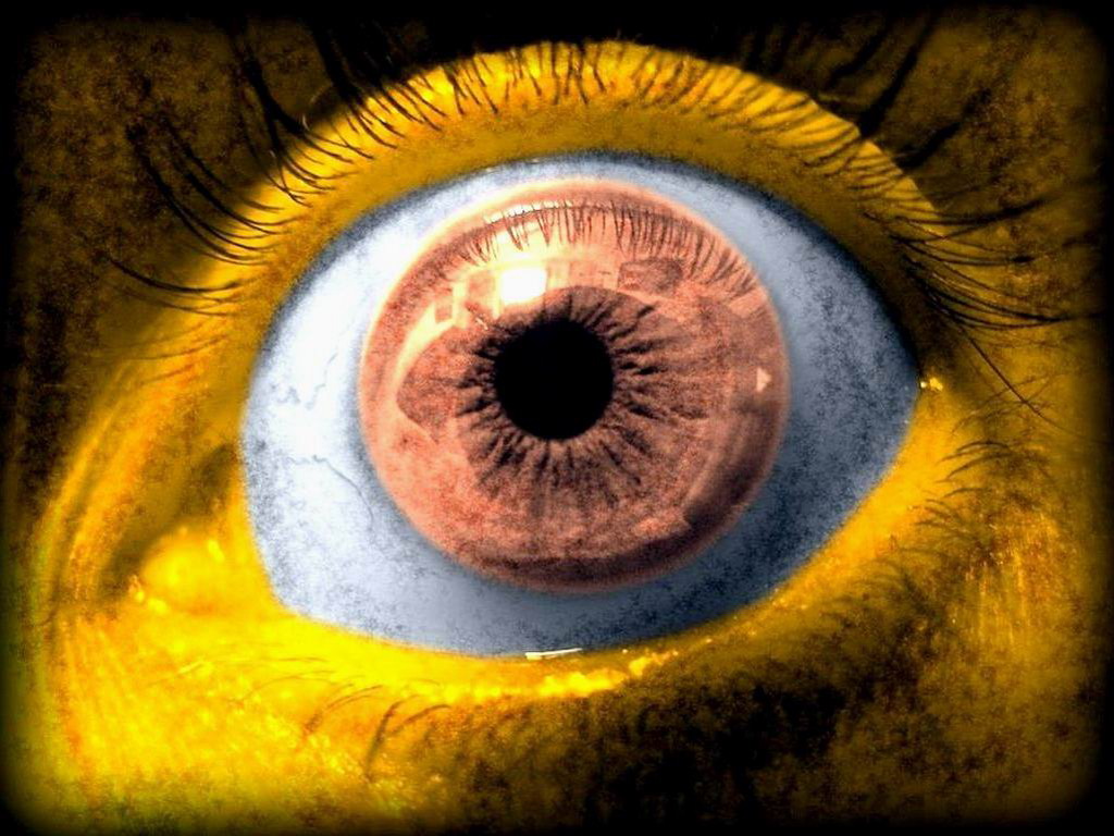 Описание желтых глаз. Желтые глаза. Желтые зрачки. Желтые зрачки глаз. Взгляд желтых глаз.