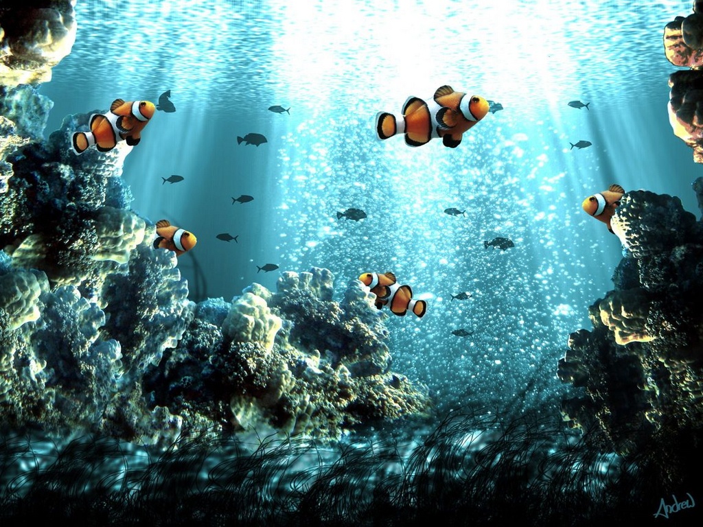 Подводный мир рыбки из мультика Немо обои