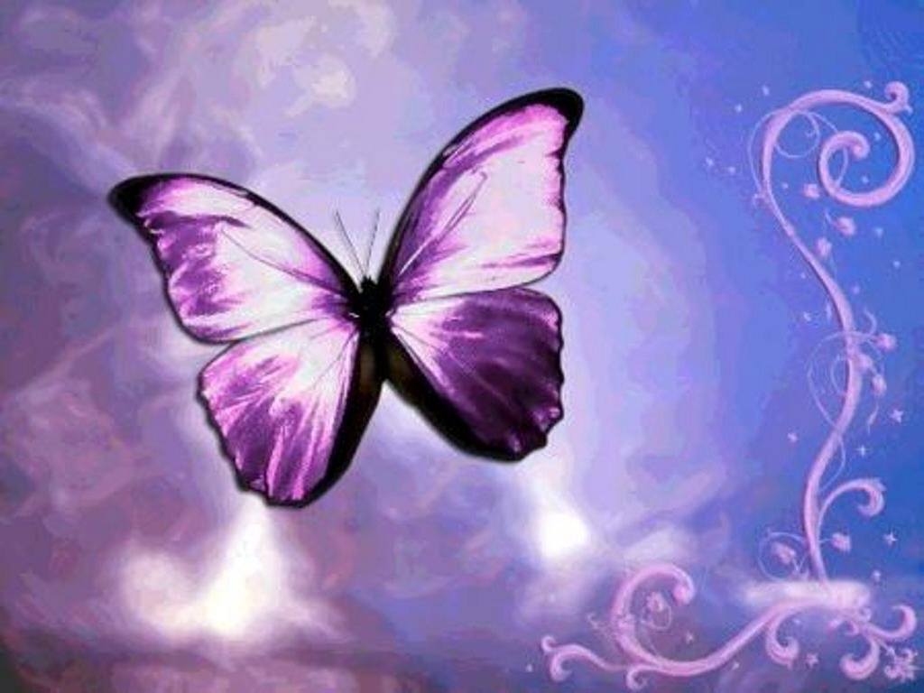 Фиолетовая бабочка в воздухе - обои