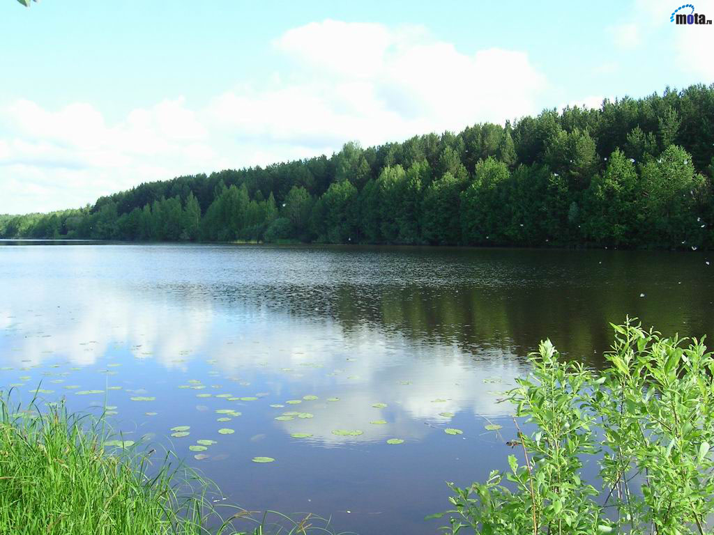 Река Волга - обои