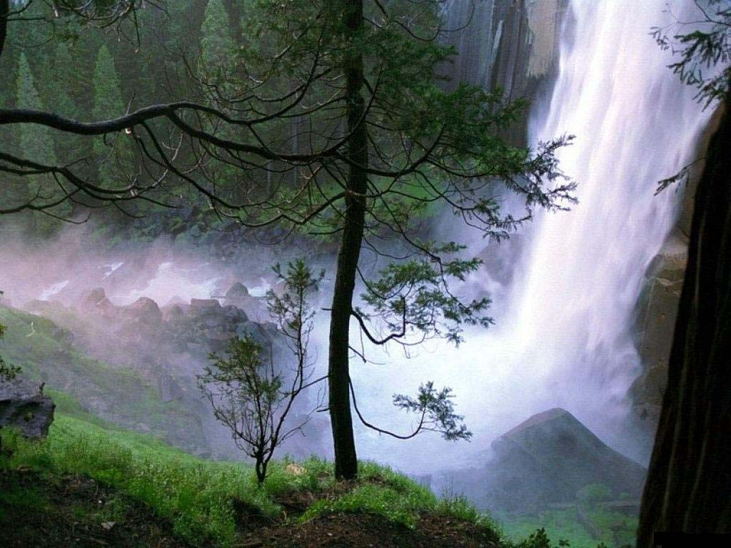 Водопад в лесу - обои