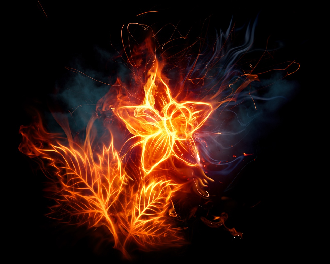 цветок из пламени обои