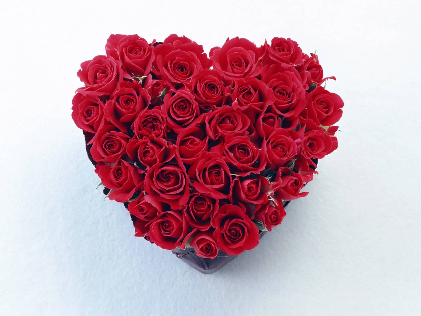 Красные розы в форме сердца - обои