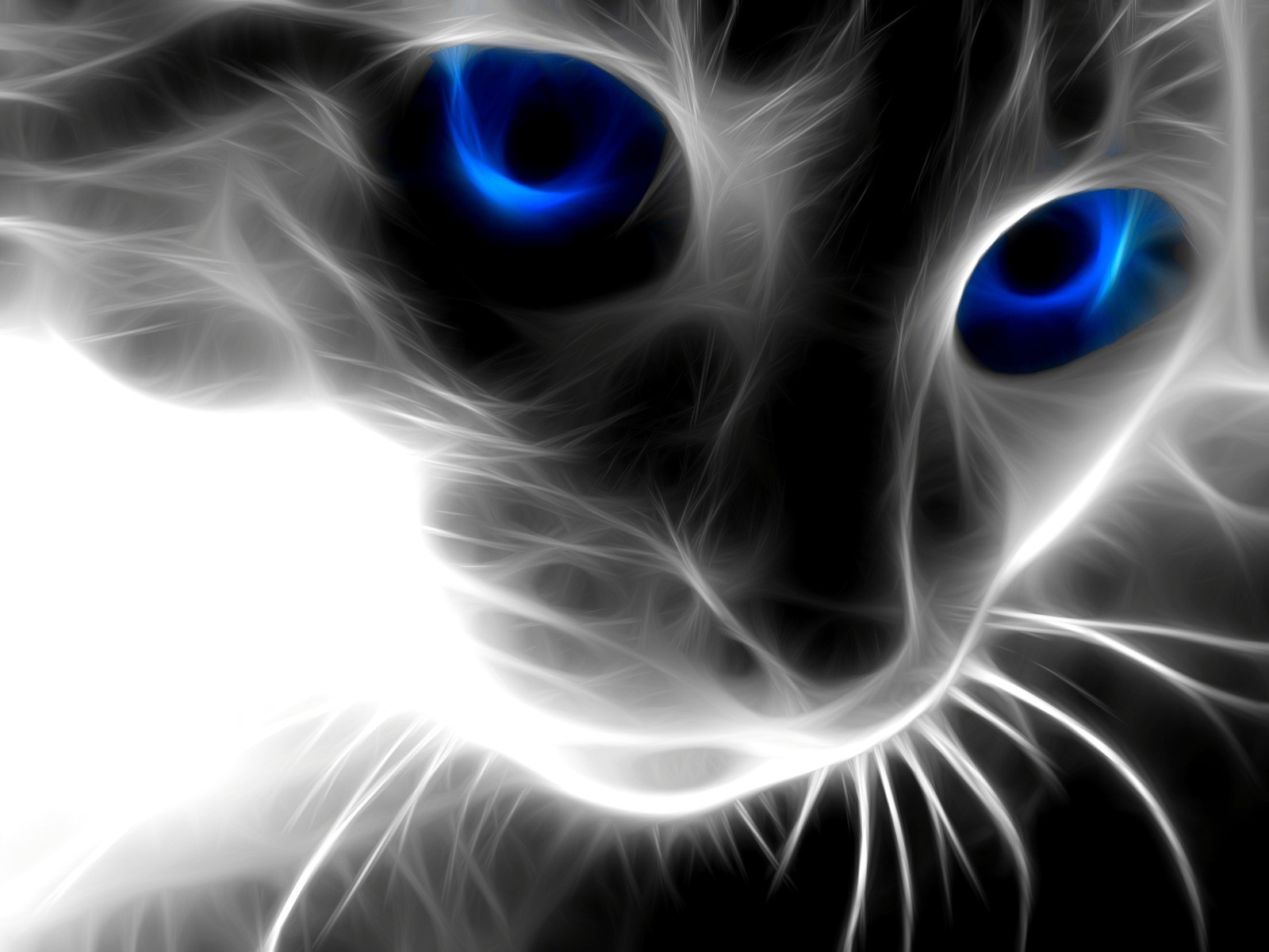 Кот из дыма c синими глазами обои