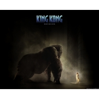 King Kong скачать обои на рабочий стол