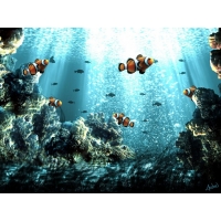 Подводный мир рыбки из мультика Немо, картинки и обои, будет новый рабочий стол