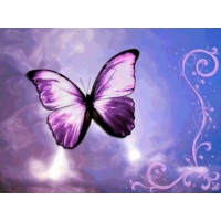 Фиолетовая бабочка в воздухе - фото и обои на рабочий стол компьютера, тема - другое