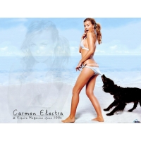     Carmen Electra -      , 