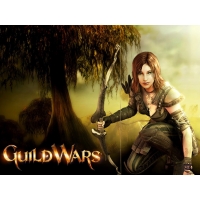    Guild wars -       1024 768,  - 