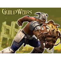   Guild Wars -         , 