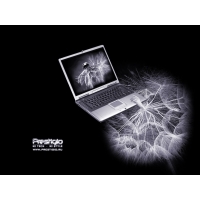 Ноутбуки фирмы Престижио - картинки, скачать фоновый рисунок рабочего стола, компьютер
