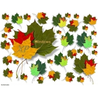 Разноцветные листья клена в стиле ХП - скачать бесплатно картинки и обои, компьютер