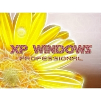 XP Виндус профессионал - картинки на рабочий стол и обои, обои компьютер