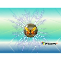     Windows XP, ,     