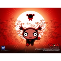 Pucca    -         , 