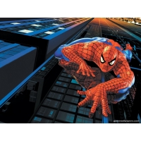 Мультяшный Человек паук - обои для рабочего стола высокого разрешения, тема - мультяшки