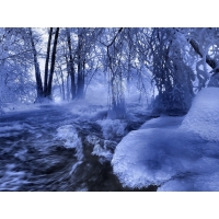 Бушующия река в зимнем лесу - скачать красивые обои рабочего стола, тема - природа