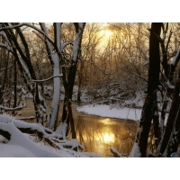 Таяние снега - бесплатные фото на рабочий стол и картинки, обои природа