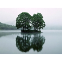 Островок с в озере с деревьями - большие обои и картинки для рабочего стола, природа