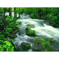 Зелёные камни в лесной речке - скачать картинки и обои на рабочий стол, природа