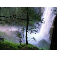 Водопад в лесу - фотообои для рабочего стола и картинки, обои природа