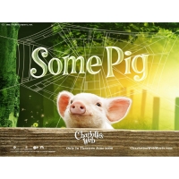  Some Pig  -       ,  - 