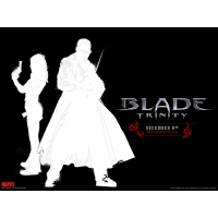     Blade Trinity,    ,   