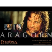 Aragorn     -       , 